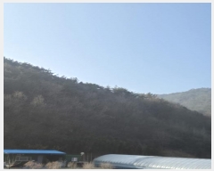  2024Ÿ89413  ȭ ϸ ȣϸ 79      (Ӿ)