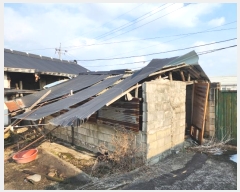  2024Ÿ89543    â 784      ð