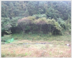  2024Ÿ��724  ���ΰ��