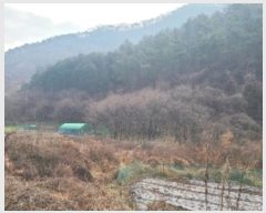  2024Ÿ��724  ���ΰ��