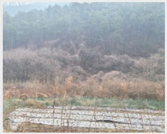  2024Ÿ��724  ���ΰ��