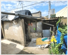  2024Ÿ5460     155-2      ð