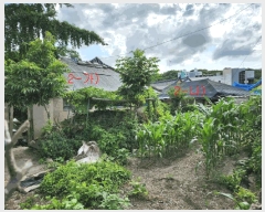  2024Ÿ5460     155-2      ð