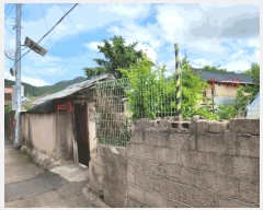  2024Ÿ5460     155-2      ð