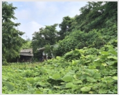  2024Ÿ5804  ֽ 굿 298-1       (1)