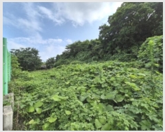  2024Ÿ5804  ֽ 굿 298-1       (1)