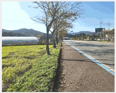  2024Ÿ��5903  ����