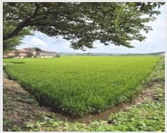  2024Ÿ��5903  ����