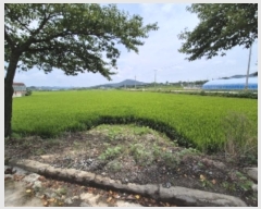  2024Ÿ��5903  ����