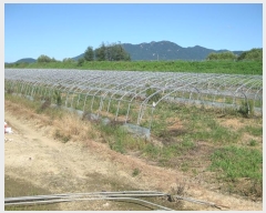  2024Ÿ��6029  ����