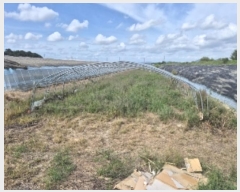  2024Ÿ��6029  ����