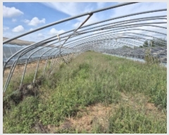  2024Ÿ��6029  ����