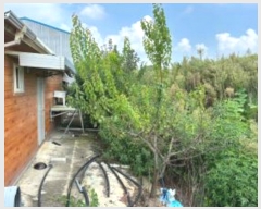  2024Ÿ��6944 ���� ������ ������ ������ 123-2      ���ð��