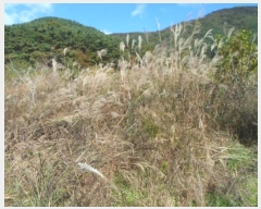  2024Ÿ��7640 ���� ��籺 ����� �Լ��� 23      ����(��1)���