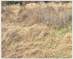  2024Ÿ��7640 ���� ��籺 ����� �Լ��� 23      ����(��1)���