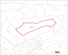  2024Ÿ��7640 ���� ��籺 ����� �Լ��� 23      ����(��1)���