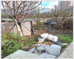  2024Ÿ��7800 ���� ���� ������ 242       ����(��1)���