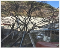  2024Ÿ��7800 ���� ���� ������ 242       ����(��1)���