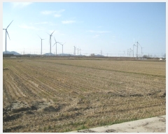  2024Ÿ��8971 ���� ������ ����� ���긮 1509-14      ����(��)���