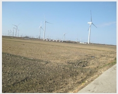  2024Ÿ��8971 ���� ������ ����� ���긮 1509-14      ����(��)���