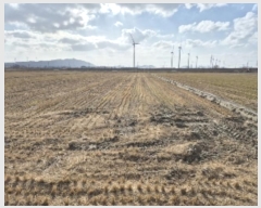  2024Ÿ��8971 ���� ������ ����� ���긮 1509-14      ����(��)���