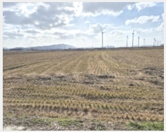  2024Ÿ��8971 ���� ������ ����� ���긮 1509-14      ����(��)���