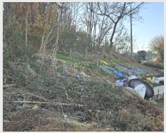  2024Ÿ��9103 ���� ���� ��ȣ�� 1072       ����(��1)���