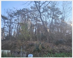  2024Ÿ��9103 ���� ���� ��ȣ�� 1072       ����(��1)���