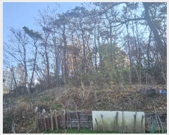  2024Ÿ��9103 ���� ���� ��ȣ�� 1072       ����(��1)���