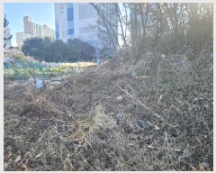  2024Ÿ��9103 ���� ���� ��ȣ�� 1072       ����(��1)���