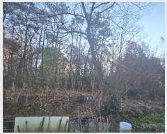  2024Ÿ��9103 ���� ���� ��ȣ�� 1072       ����(��1)���