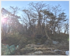  2024Ÿ��9103 ���� ���� ��ȣ�� 1072       ����(��1)���