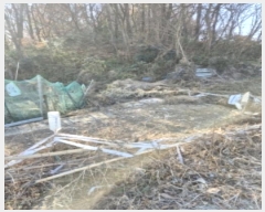  2024Ÿ��9103 ���� ���� ��ȣ�� 1072       ����(��1)���