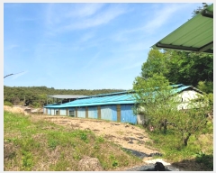  2024Ÿ67376  籺  õ 131-1      (󰡽ü)