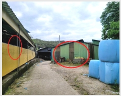  2024Ÿ67376  籺  õ 131-1      (󰡽ü)