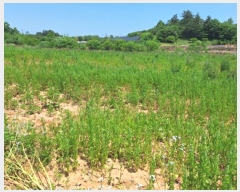  2024Ÿ70389  ֽ  ȭ 451-4      (1)