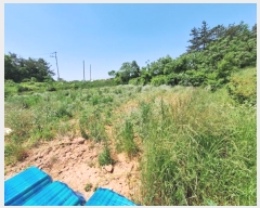  2024Ÿ70389  ֽ  ȭ 451-4      (1)