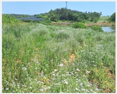  2024Ÿ70389  ֽ  ȭ 451-4      (1)