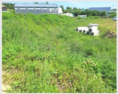  2024Ÿ70389  ֽ  ȭ 451-4      (1)