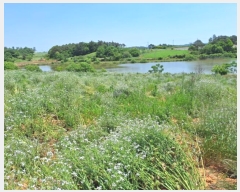  2024Ÿ70389  ֽ  ȭ 451-4      (1)