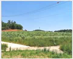  2024Ÿ70389  ֽ  ȭ 451-4      (1)