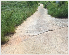  2024Ÿ70389  ֽ  ȭ 451-4      (1)