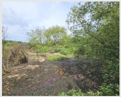  2024Ÿ��77793 ���� ���ֽ� �ݳ��� ����� 354-1      ����(��)���