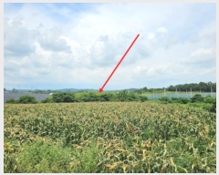  2024Ÿ��77793 ���� ���ֽ� �ݳ��� ����� 354-1      ����(��)���