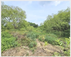  2024Ÿ��77793 ���� ���ֽ� �ݳ��� ����� 354-1      ����(��)���