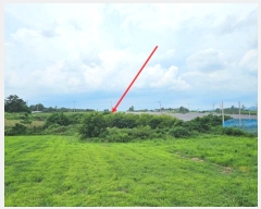  2024Ÿ��77793 ���� ���ֽ� �ݳ��� ����� 354-1      ����(��)���