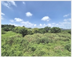  2024Ÿ��77793 ���� ���ֽ� �ݳ��� ����� 354-1      ����(��)���