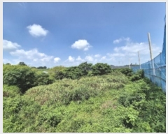  2024Ÿ��77793 ���� ���ֽ� �ݳ��� ����� 354-1      ����(��)���