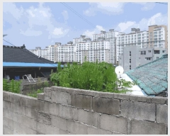  2024Ÿ��78994  ���ð��