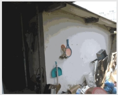  2024Ÿ��78994  ���ð��